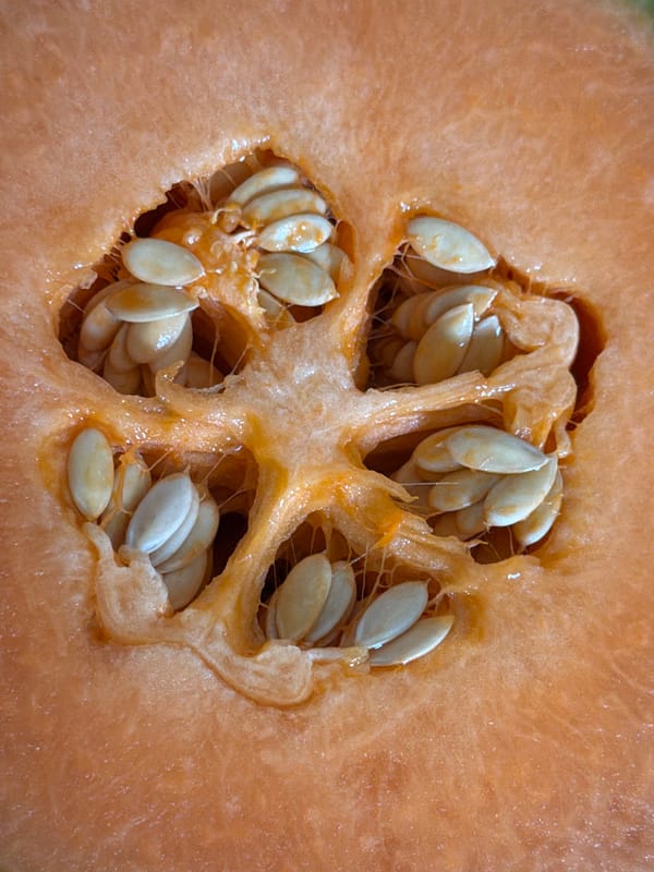 Morning cantaloupe preparation captured in Catania kitchen