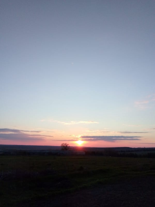 Sunset and black cat documented in Khlevnoye, Russia