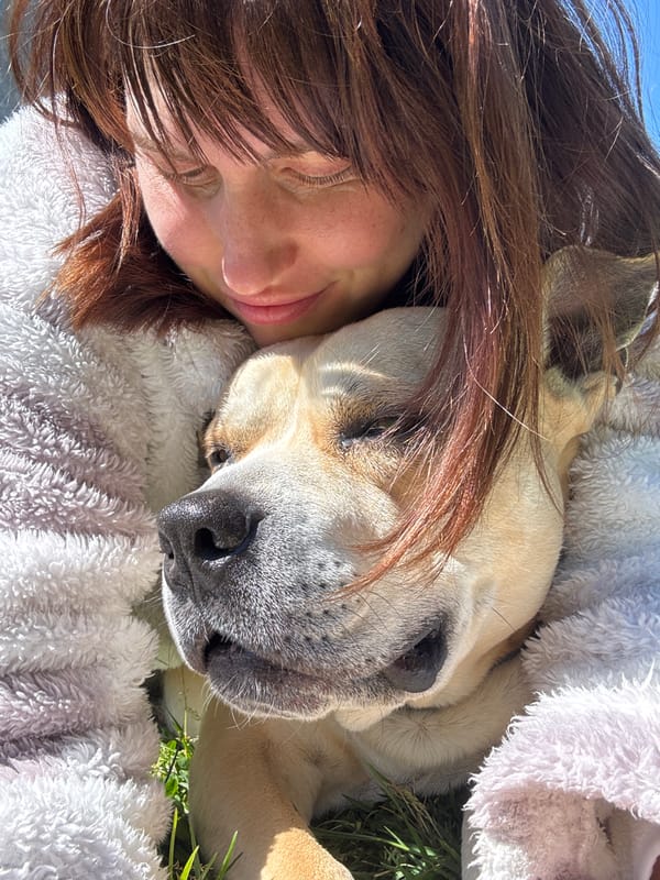 Dog drinks from garden hose amid spring flowers in Aprilia