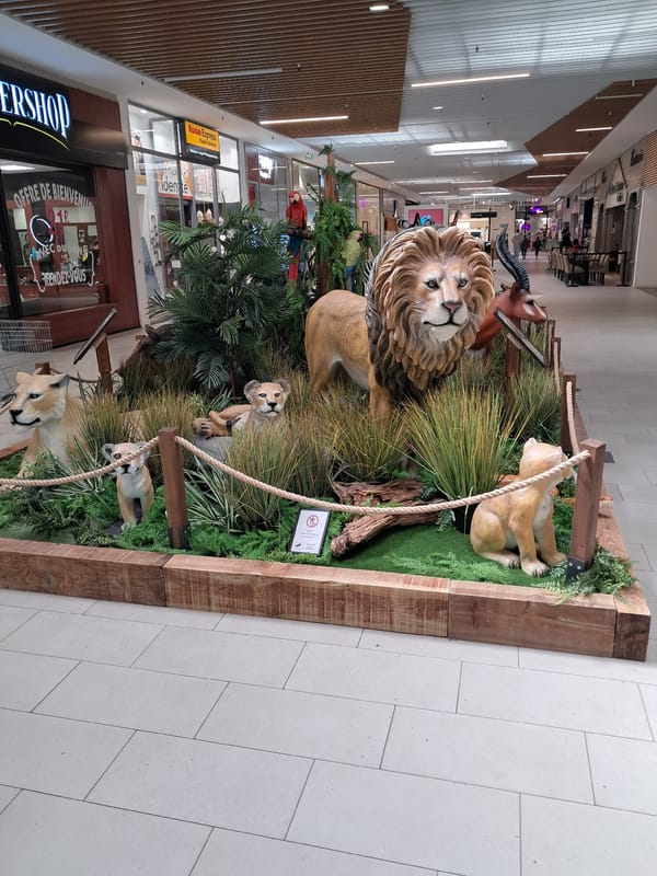 African wildlife display observed in Caen, France