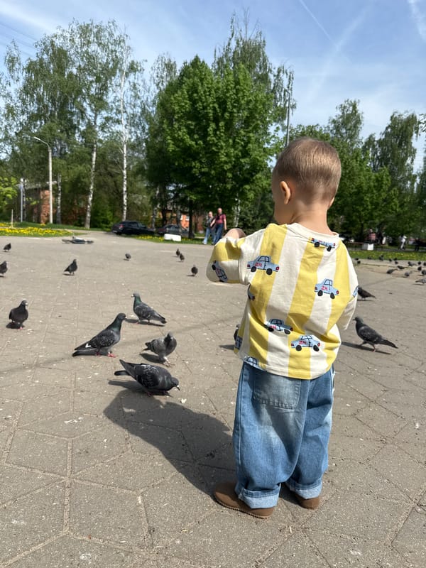 Child feeds pigeons with bread in public square