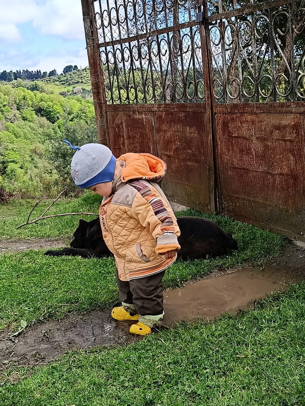 Child and dog spotted in rural Abkhazia, flower photographed
