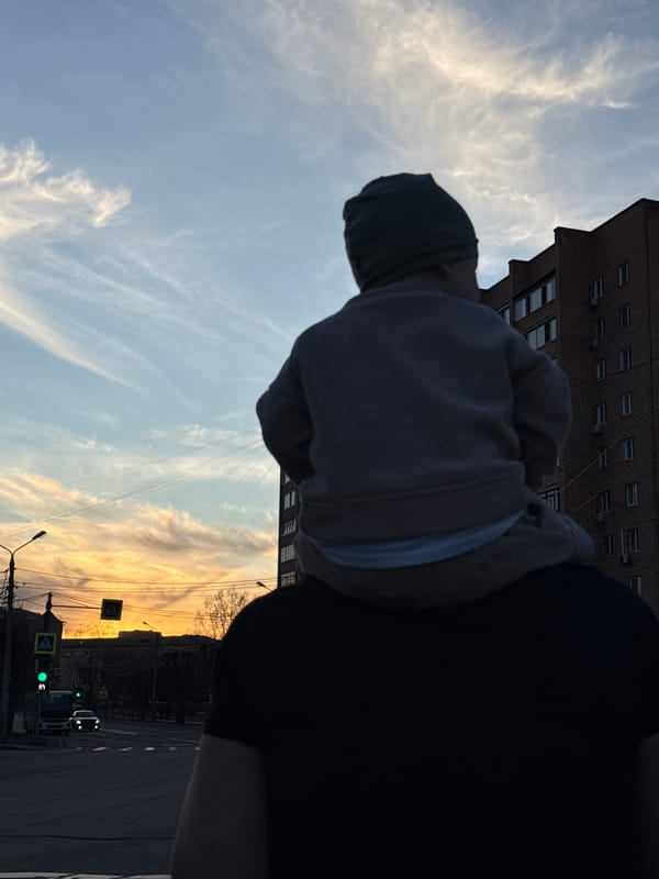 Adult carries child while viewing Krasnoyarsk cityscape at dusk