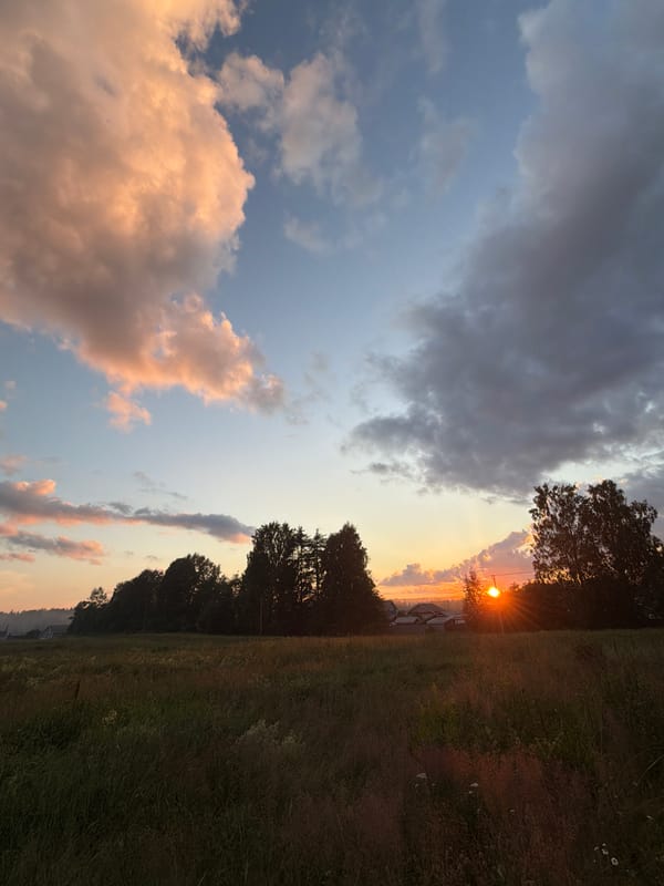 Golden hour over rural Russia: fields, clouds, and a cat