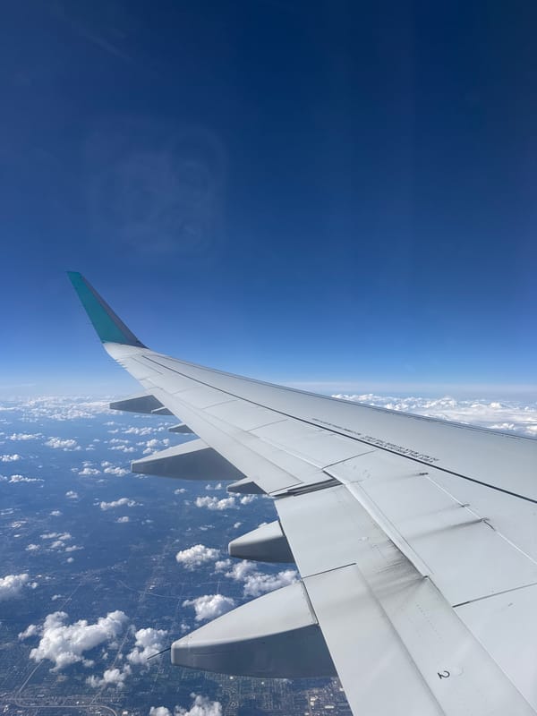 Window seat views over suburban Michigan, mid-flight