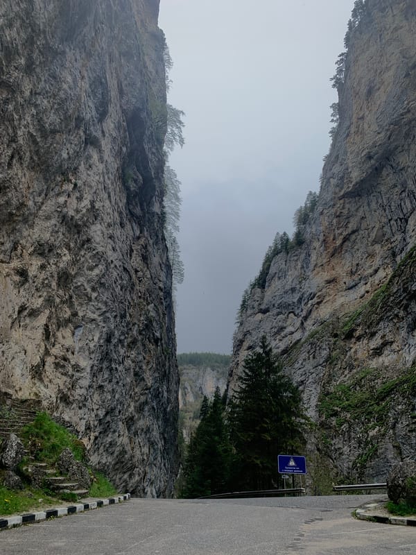 Mountain road with rocky cliffs documented by witness