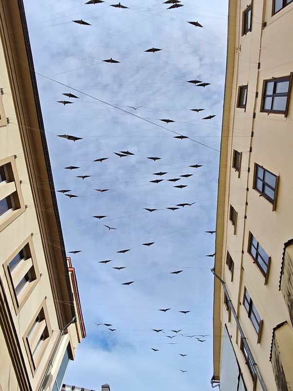 Witness documents Ivano-Frankivsk city center including art installation, City Hall
