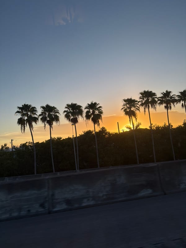 Palm tree silhouettes frame a vivid Kendall sunset