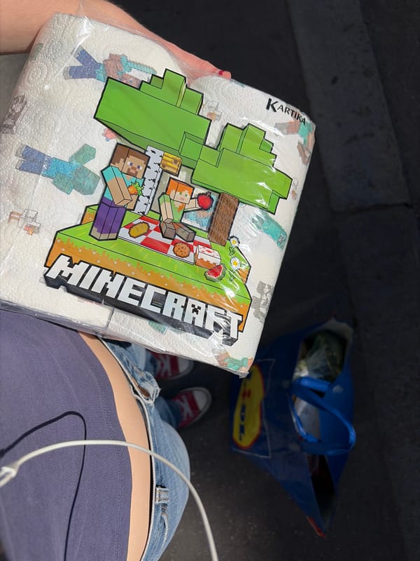 Person spotted with Minecraft paper towels in Milan