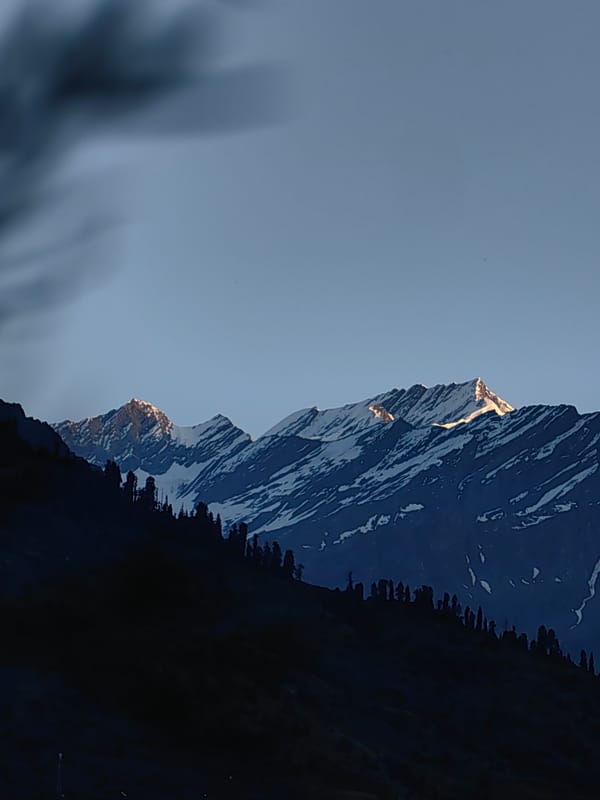 Himalayan twilight scenes around Vashisht, birds and peaks