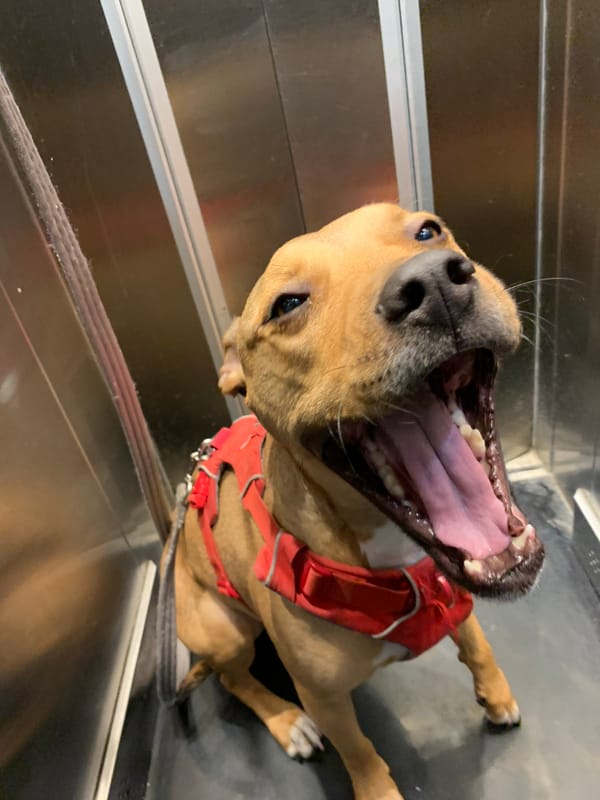 Ordinary Tel Aviv life captured in six-minute window