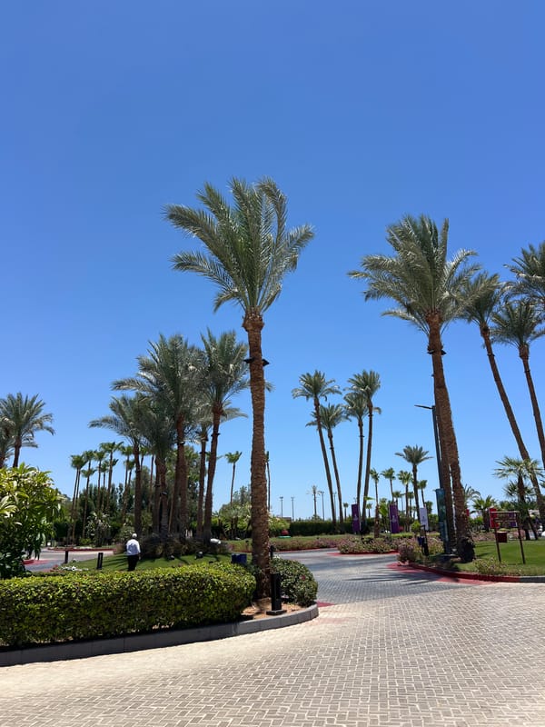 Wandering the grounds of a Sharm El Sheikh resort