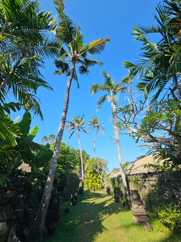 Strolling a lush Balinese temple garden in Denpasar