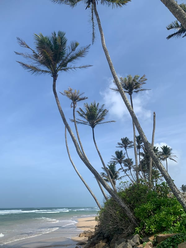 Beach scenes across Ahangama and Kathaluwa, Sri Lanka