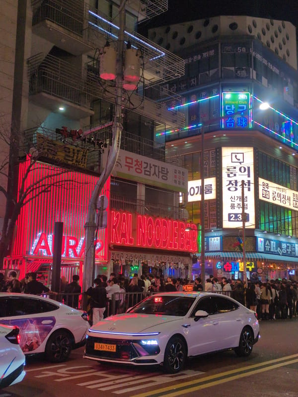 Seoul's illuminated nightlife districts documented in evening observations
