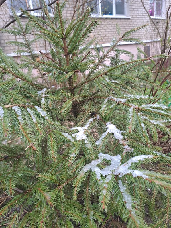 Domestic life documented in snowy Elektrostal, Russia