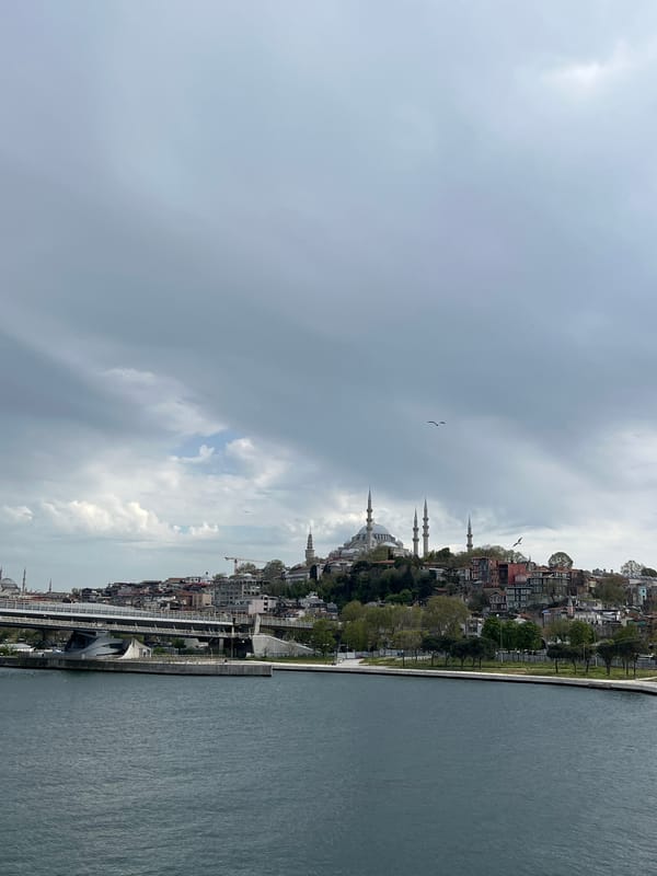 Panoramic Istanbul cityscape captured under cloudy afternoon skies