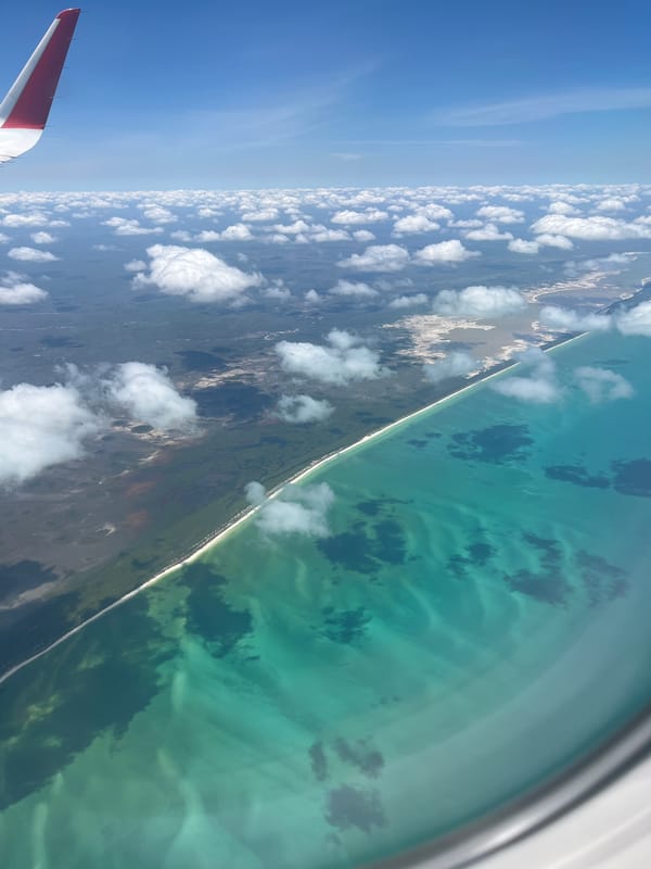 Aerial coastal view captured from airplane near Xuilub, Mexico