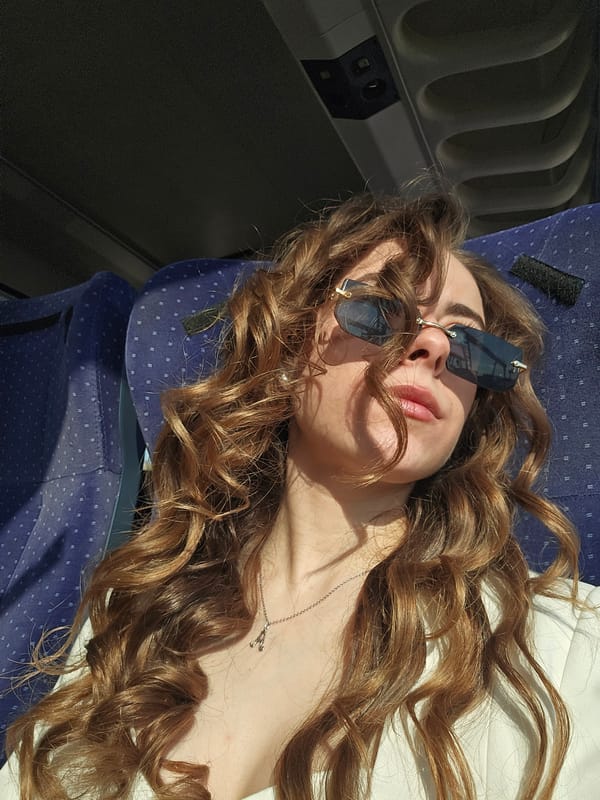Air passenger observed resting during flight near Plovdiv