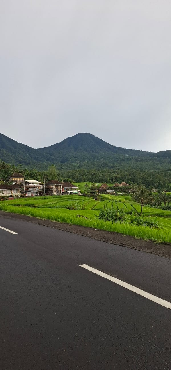 Rice terraces documented in rural Penebel, Indonesia