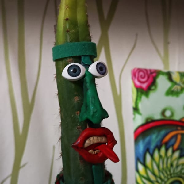 Decorated cactus with googly eyes spotted in Russian village