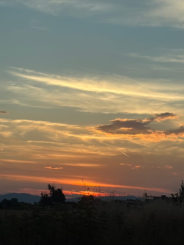 Sunset drive and a napping kitten on a June evening