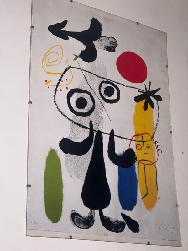 Person documents home life with selfies and collectibles in Vincennes