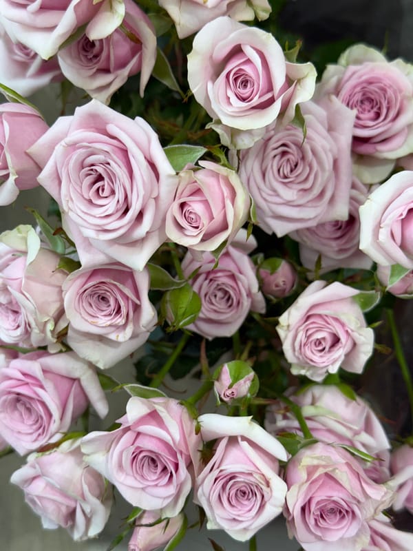Close-up survey of diverse flower bouquets and arrangements