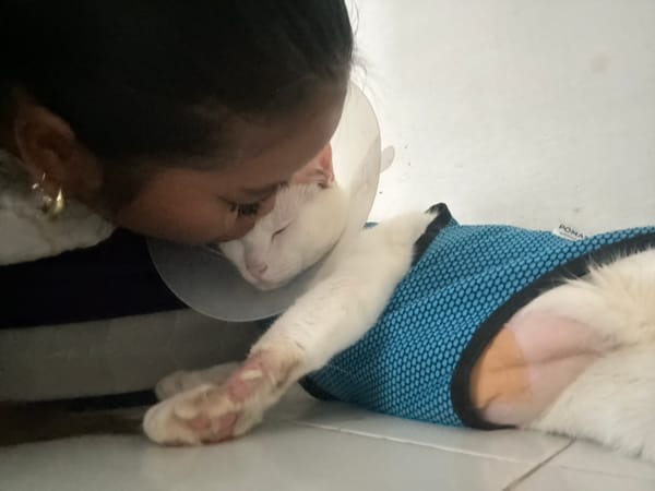 Woman documents recovery time with injured white cat in Jakarta