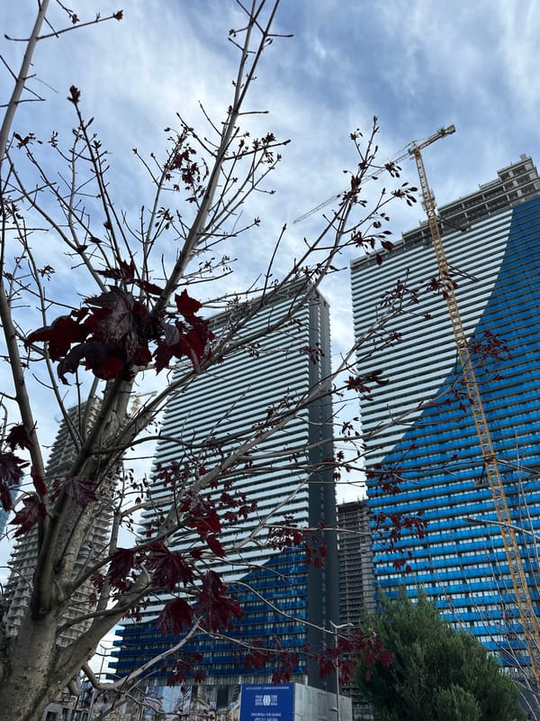 Modern Batumi architecture and streetscapes documented in afternoon photography session