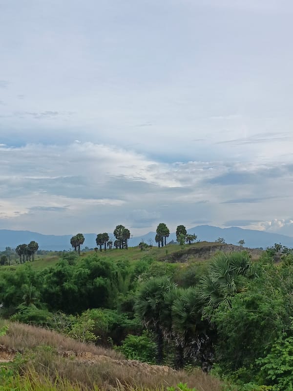 Witness documents diverse Lhokseumawe landscapes during 20-minute survey