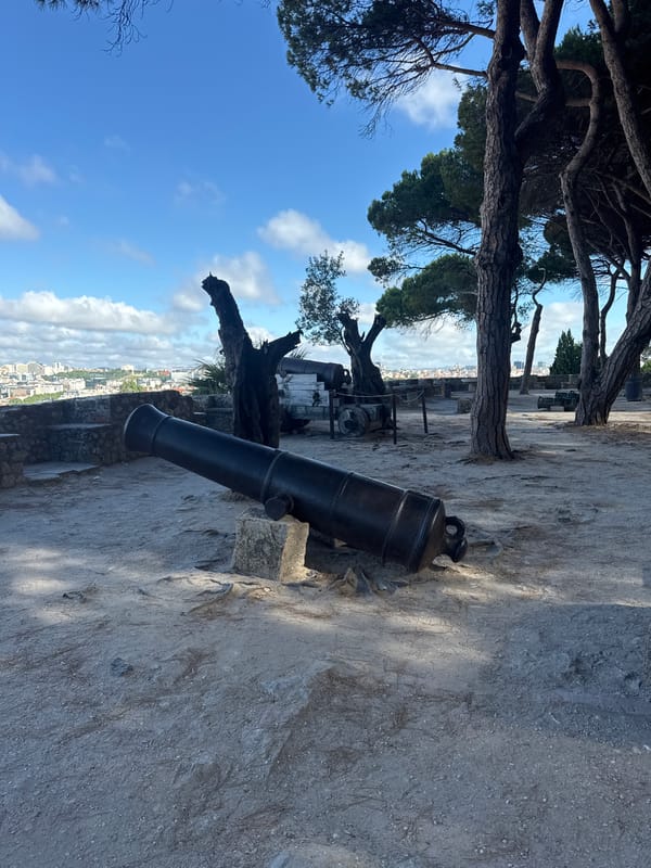 Lisbon hilltop fortress: cannons, city views, and peacocks