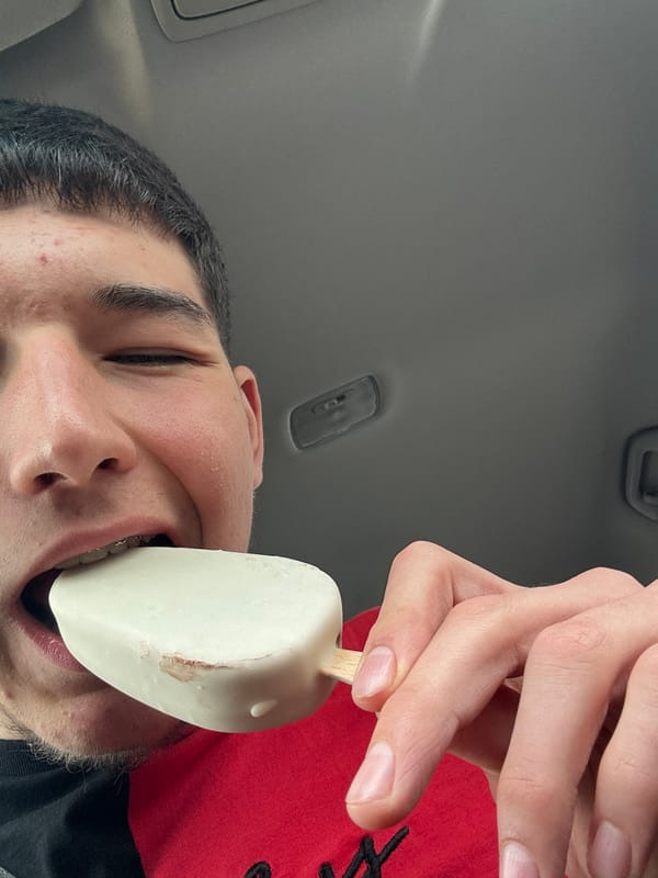 Person enjoys ice cream treats inside car in Bulgaria