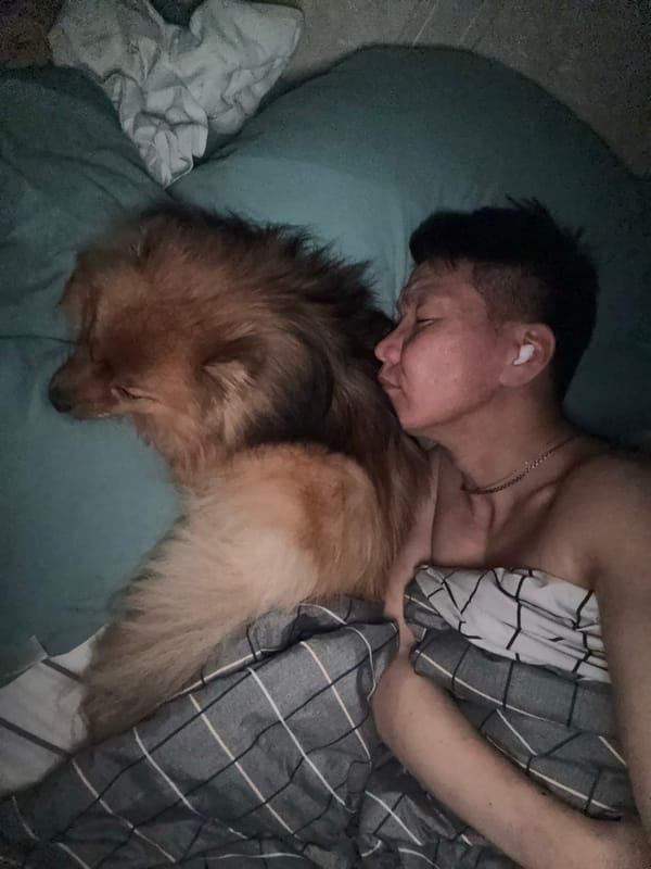 Person and dog sleep peacefully together in Khimki home