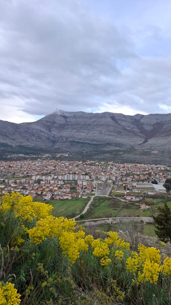 Panoramic views capture Trebinje city and historic monastery