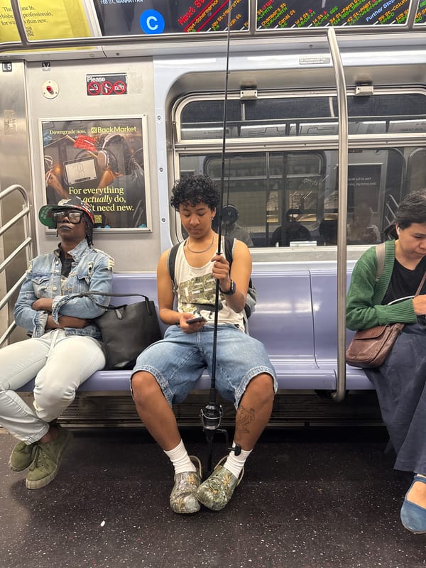 NYC subway fishing rod passenger, Mets fan selfie documented