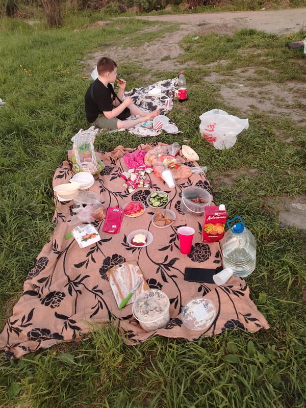 Family picnic observed in Rusanovo district, Russia