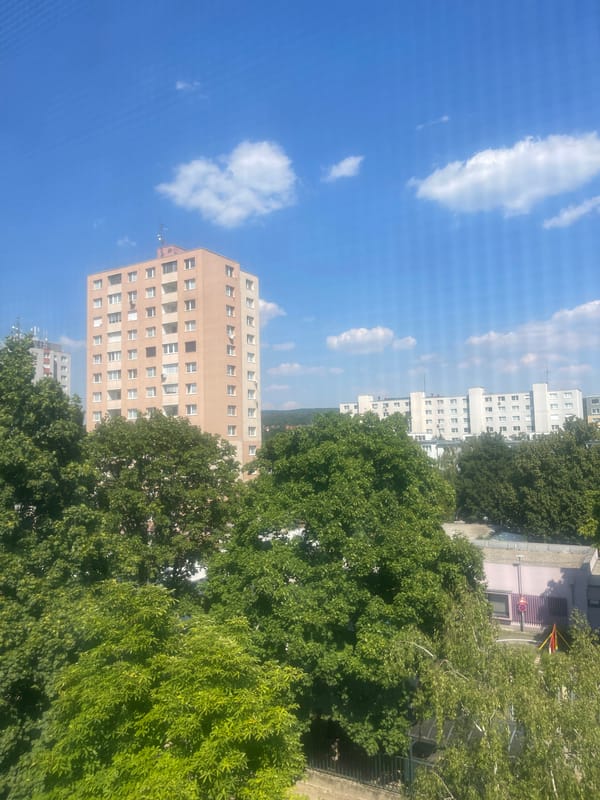 Sunny day snapshots around a tree-lined residential block