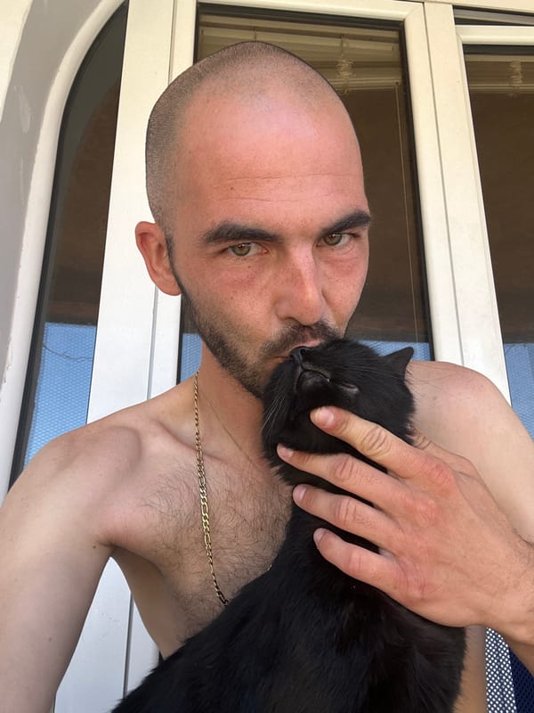 Morning moments with black cat documented in Budva, Montenegro