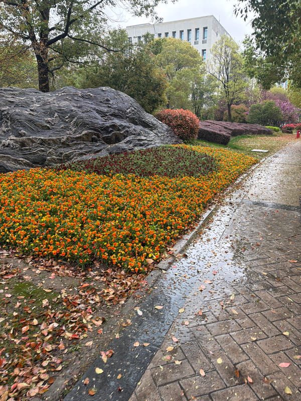 Rainy day scenes captured across Jiangning District campus area