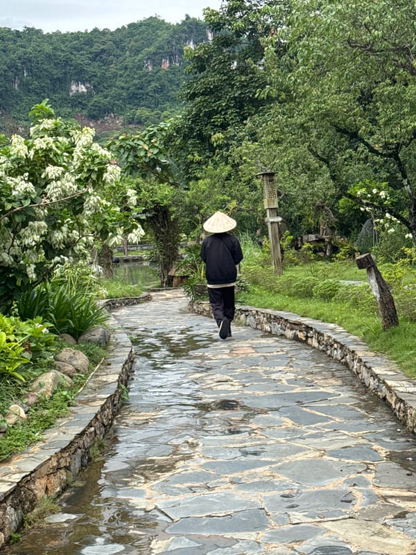 Tourist documents morning visit to Moc Chau resort and gardens