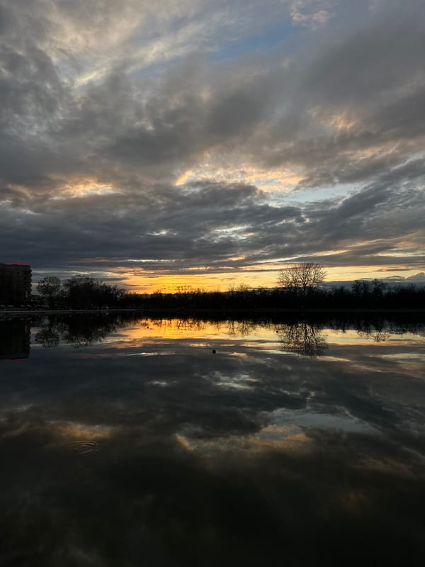 Sunset creates mirror reflections on Plovdiv waterway, turtle spotted