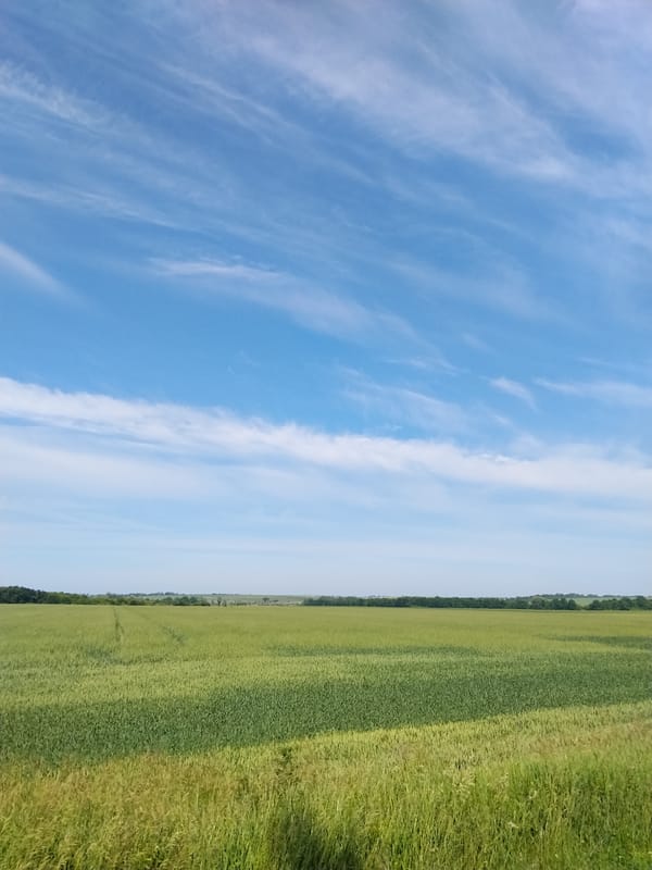 Rural Myrhorod farmland photographed under morning cirrus clouds