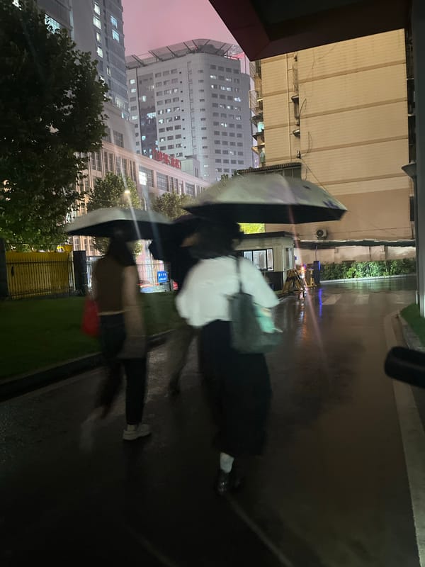 Rain creates colorful night scenes in Chongqing's Yuzhong District