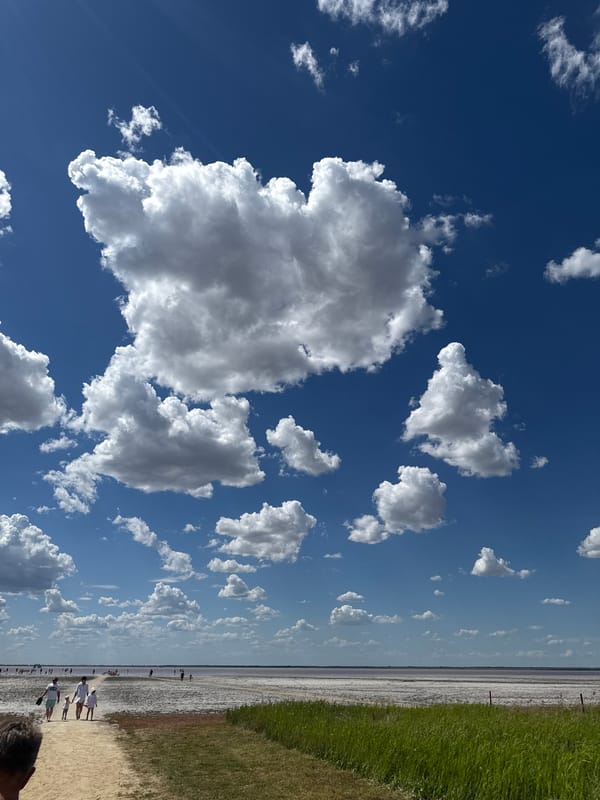 A busy summer day at Russia's pink salt lake Bursol