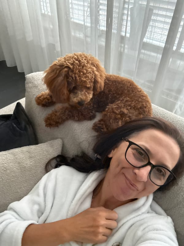 Cozy morning at home with a sleepy brown poodle