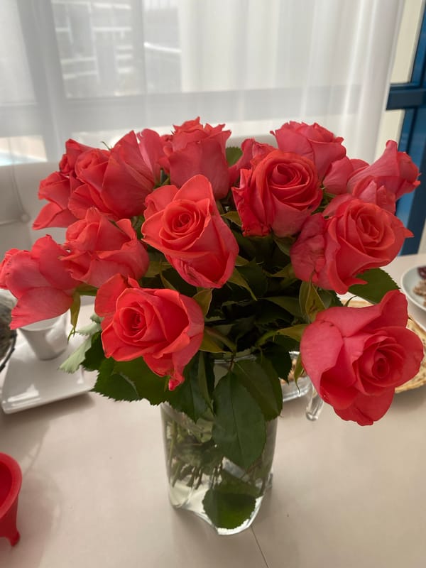 Morning meal with coral roses documented in Alanya, Turkey