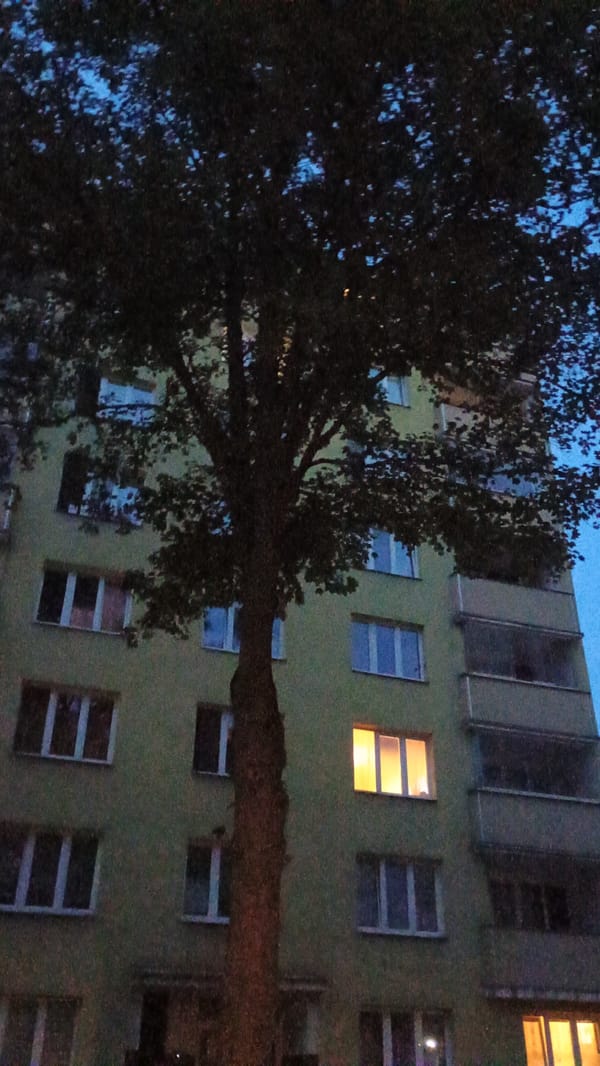 Sokolov streets and bike paths settle into a summer evening
