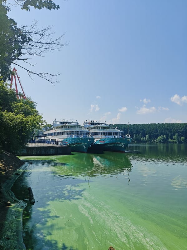 Passenger ships docked on algae-covered Kama River, Chaikovsky