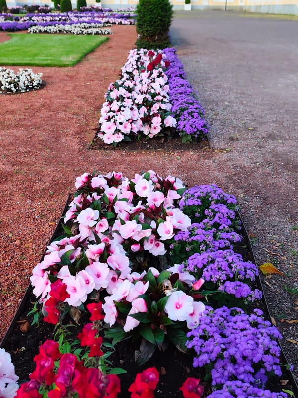 Kadriorg Palace gardens at dusk, flowers and architecture